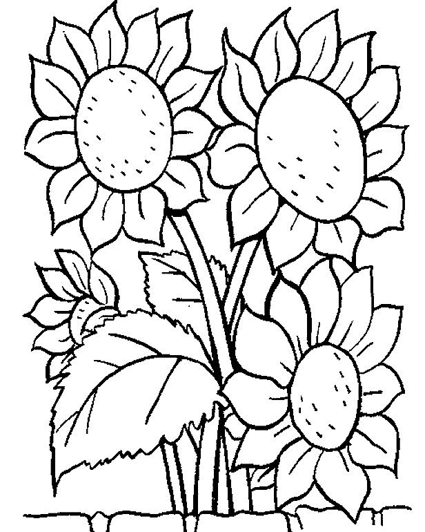 Plansa de colorat cu Flori 22 15